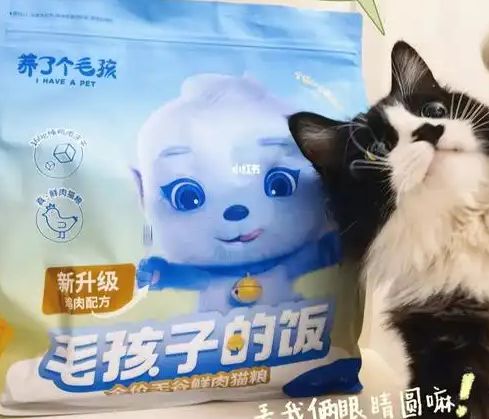 口粮！三只松鼠靠什么重返宠物食品赛道pg电子中国网站零食巨头盯上毛孩子(图1)