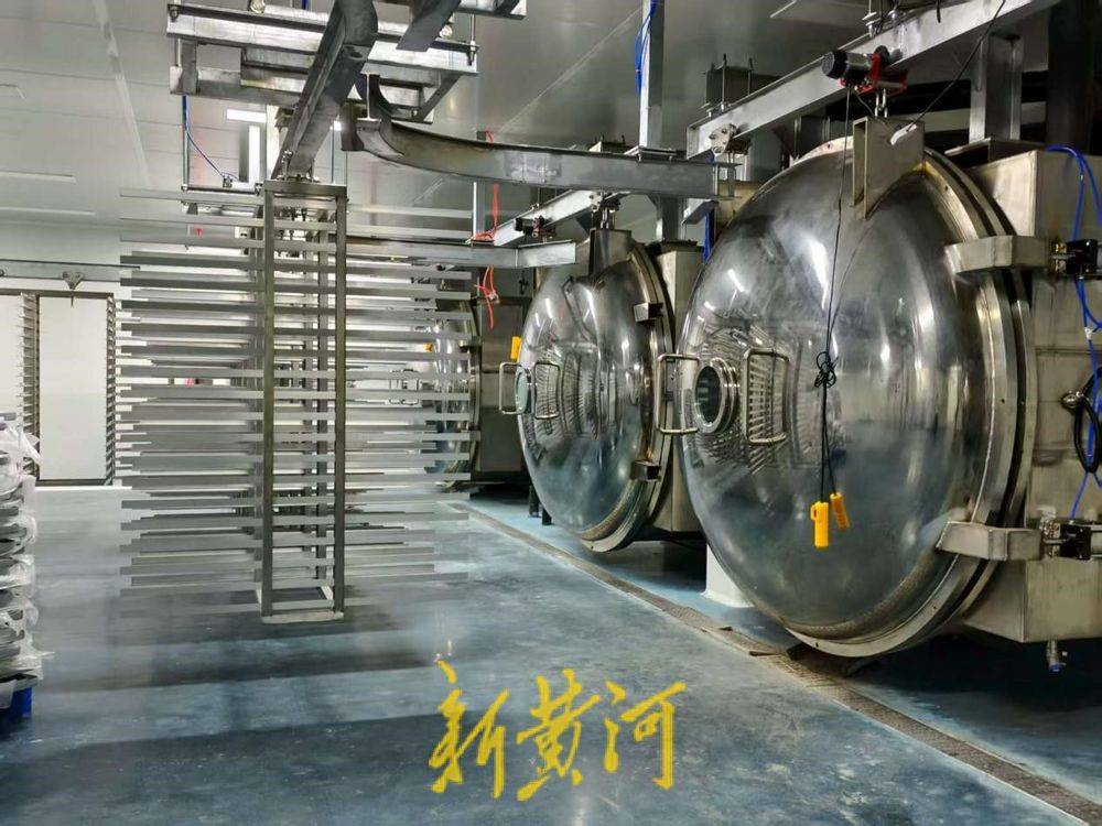 让萌宠“定制”产业破局腾飞pg模拟器电脑版潍坊临朐：