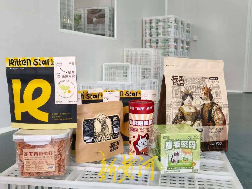 让萌宠“定制”产业破局腾飞pg模拟器电脑版潍坊临朐：(图2)